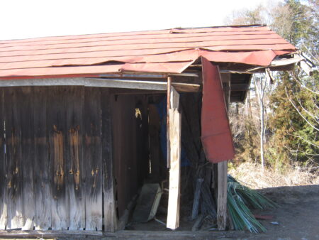 小屋の屋根のトタンが剥がれたので直しました。