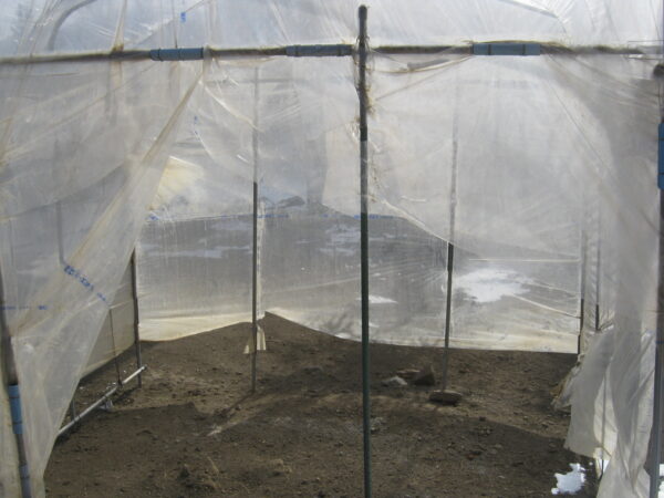 支柱をダイムハウスの脚パイプとツマ面縦パイプに交換します。