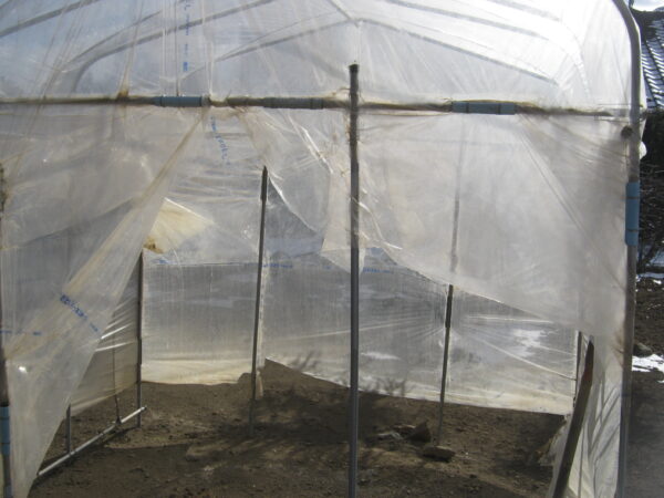 支柱をダイムハウスの脚パイプとツマ面縦パイプに交換します。