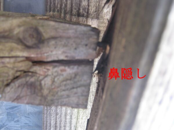 外れていた鼻隠しを釘で止めます。