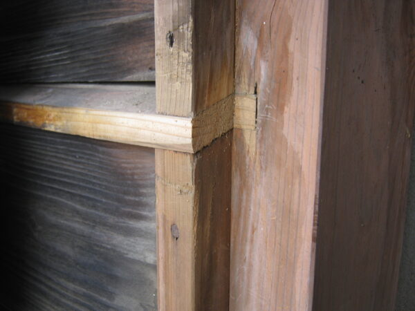 物置の引戸がダメになったので蝶番扉に変更 5 扉が中まで入るように邪魔な木を切り取ります。