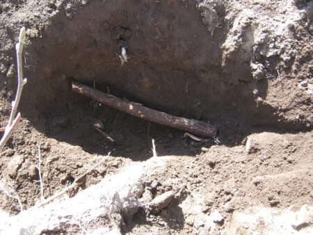 庭の木を土を掘り抜きました 20 被さっている隣のバラの木の根を切ります。